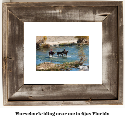 horseback riding near me in Ojus, Florida